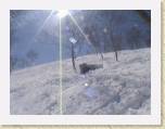 23-03-05-Andy&Nay-AikoSnowboarding-Japan 198 * 640 x 480 * (124KB)
